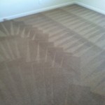 Joliet-Carpet-Cleaning-Wall-To-Wall